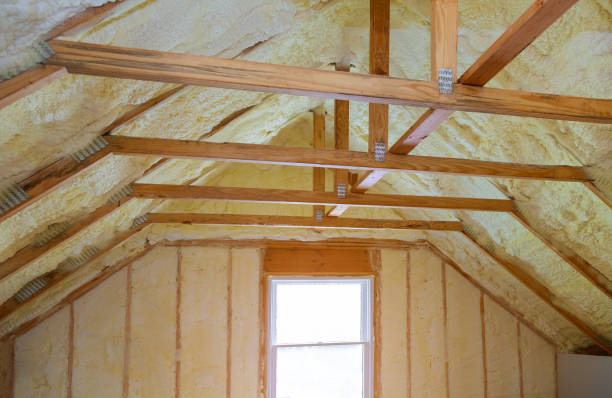 Best Eco-Friendly Insulation in North Brooksville, FL