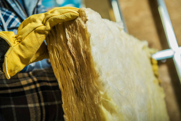 Best Insulation for Specific Applications in North Brooksville, FL
